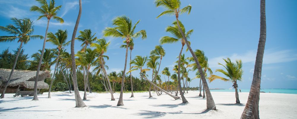 o Las 5 mejores playas de la República Dominicana