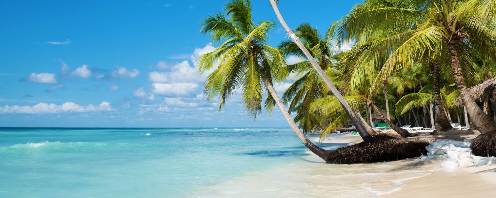 5 excursiones en Punta Cana que no te puedes perder