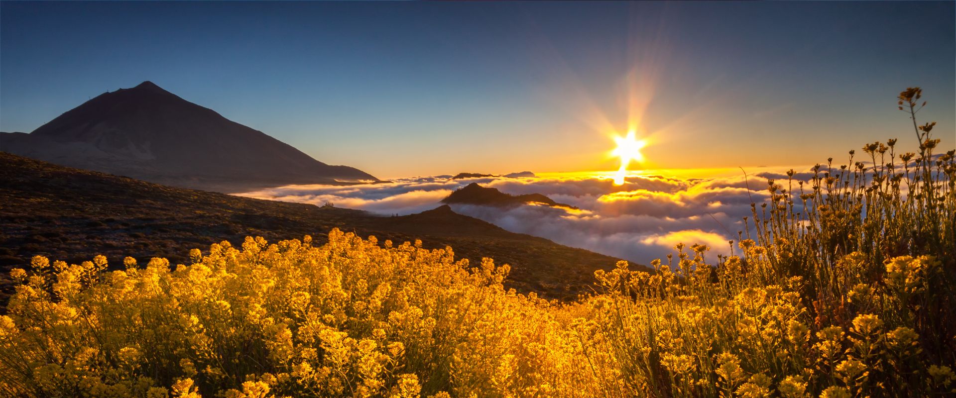 Lo que debes saber antes de visitar el Teide