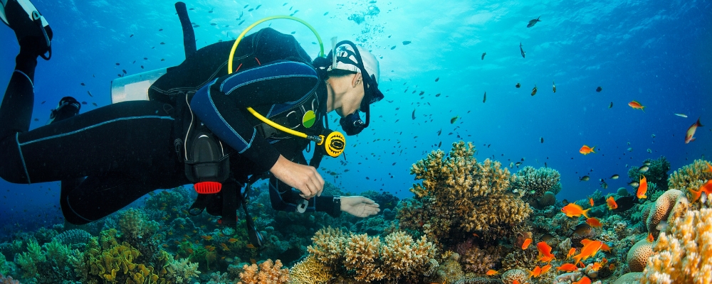 Excursiones en Mallorca para los más aventureros