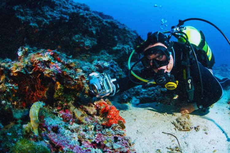 Taucher-genießen-die-Unterwasserwelt-Mallorcas