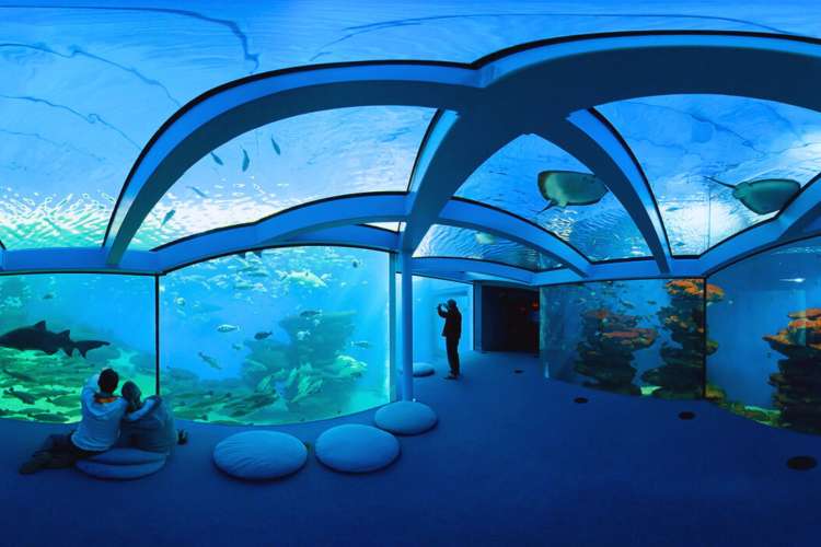 Aquarium-in-Palma-de-Mallorca