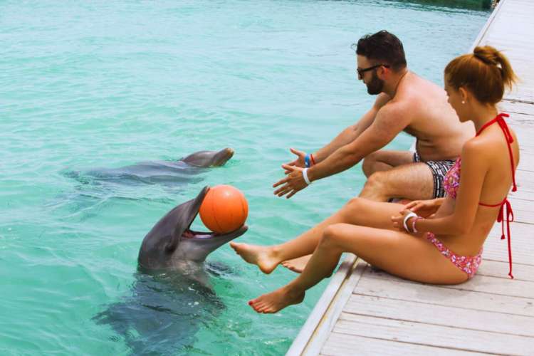 Hombre-acariciando-delfín-Punta-Cana