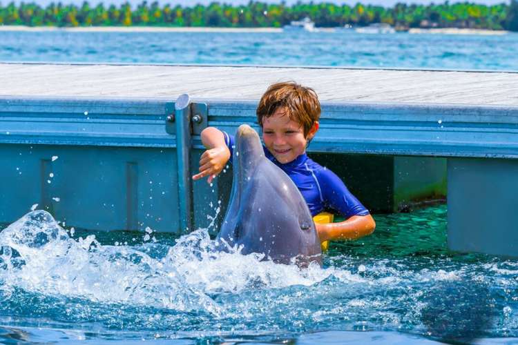 Hombre-nadando-con-delfines-Punta-Cana