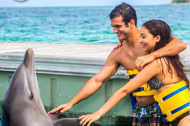 Swim-with-dolphins-adventure-Punta-Cana