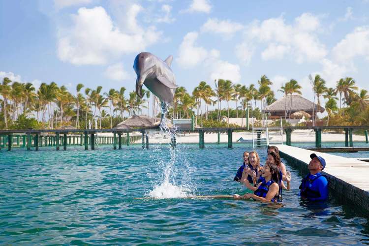 Junge-schwimmt-mit-Delphin-Punta-Cana