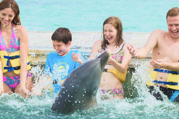 Familia-jugando-con-delfín-Punta-Cana