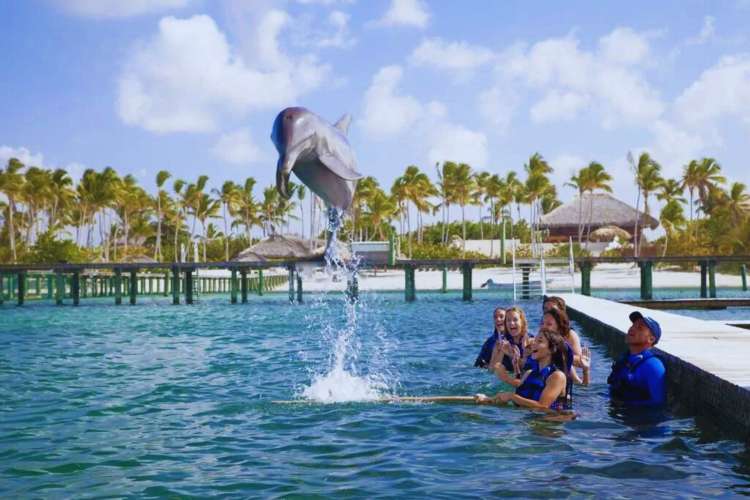 Delfín-jugando-con-pelota-Punta-Cana