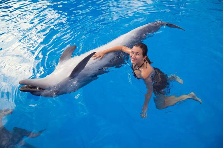 Girl-and-dolphin-playing-Punta-Cana