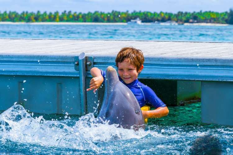 Zwei-Delphine-spielen-mit-einem-kleinen-Mädchen-Punta-Cana