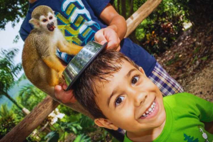 Child-with-monkey-Punta-Cana