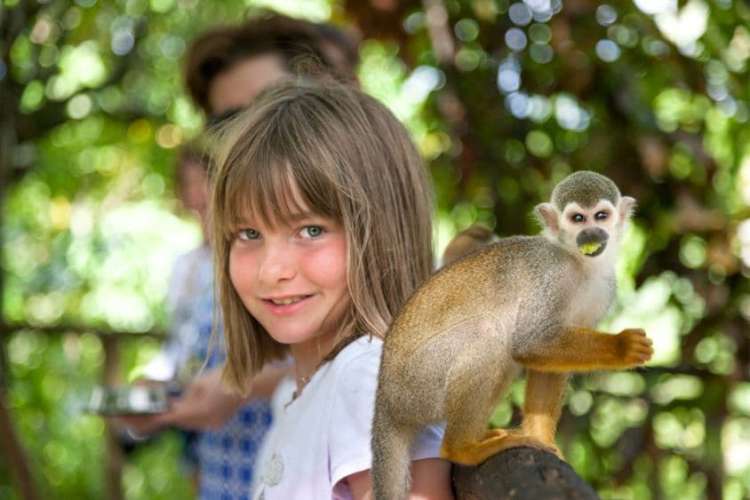 Affe-mit-Mädchen-Punta-Cana
