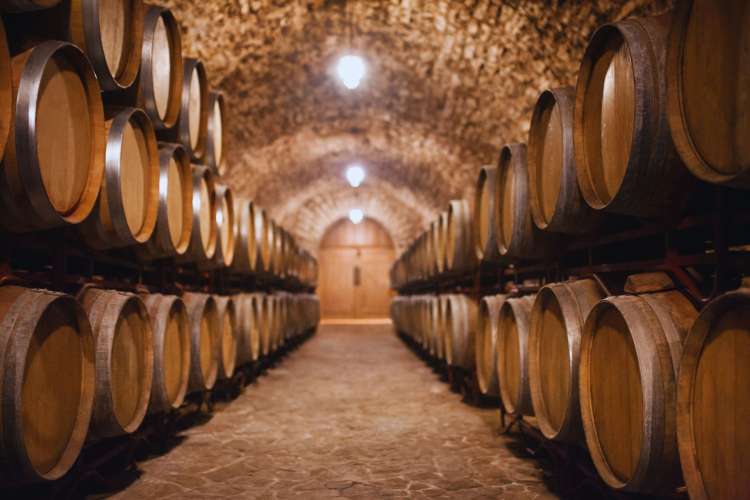 Weinkellerei-Valle-del-Tajo-Madrid