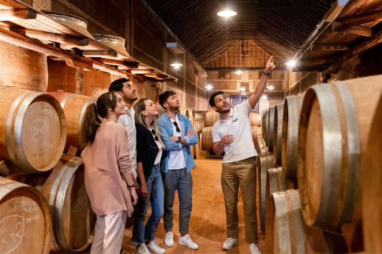 Geführte-Besichtigung-der-Weinkellereien-von-Toledo