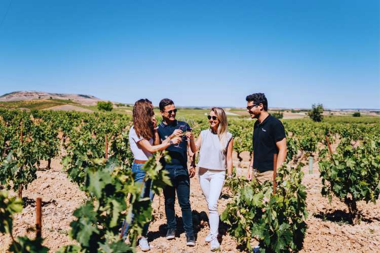 Visit-to-Ribera-del-Duero-Madrid-vineyards