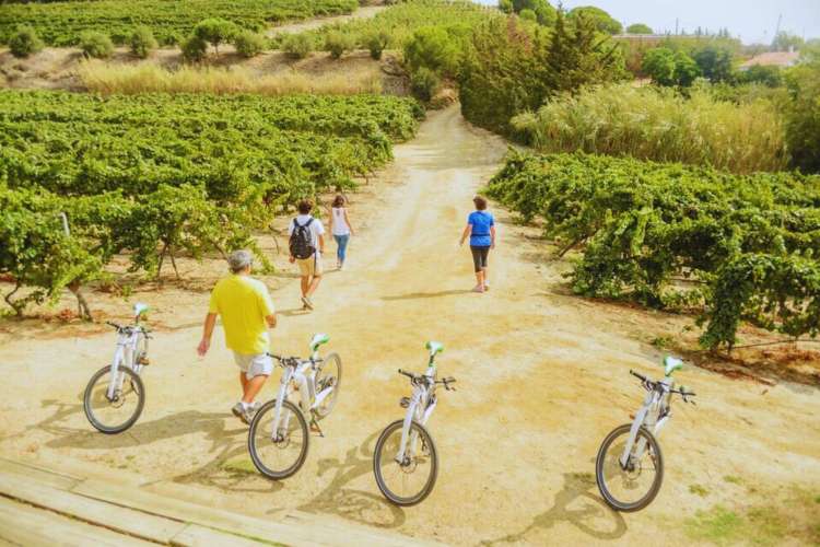 ebike-ride-vineyards-Barcelona