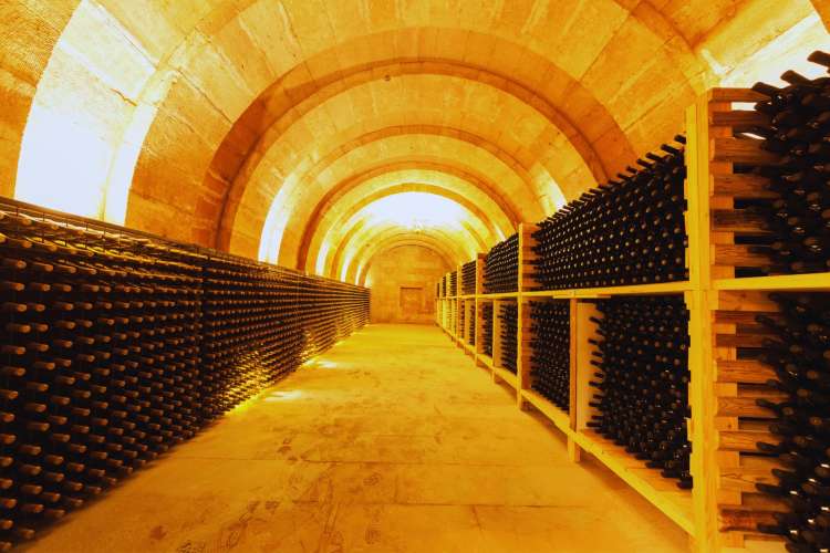 Bottles-in-a-winery-Barcelona