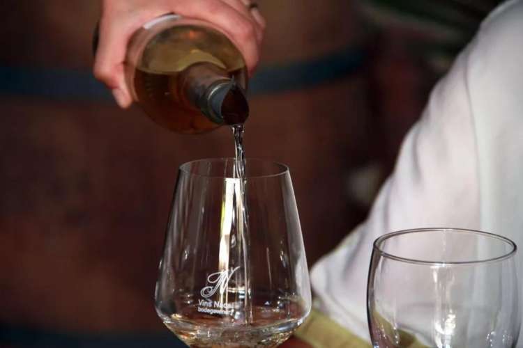 Nadal-winery-wine-tasting