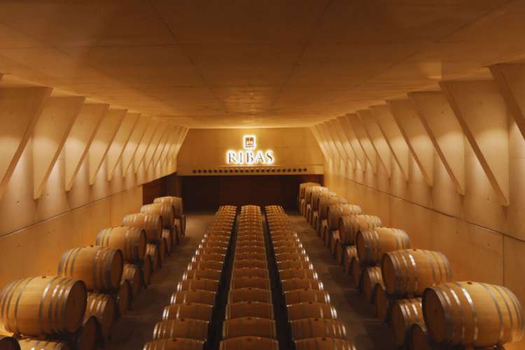 Visit-to-Ribas-wineries