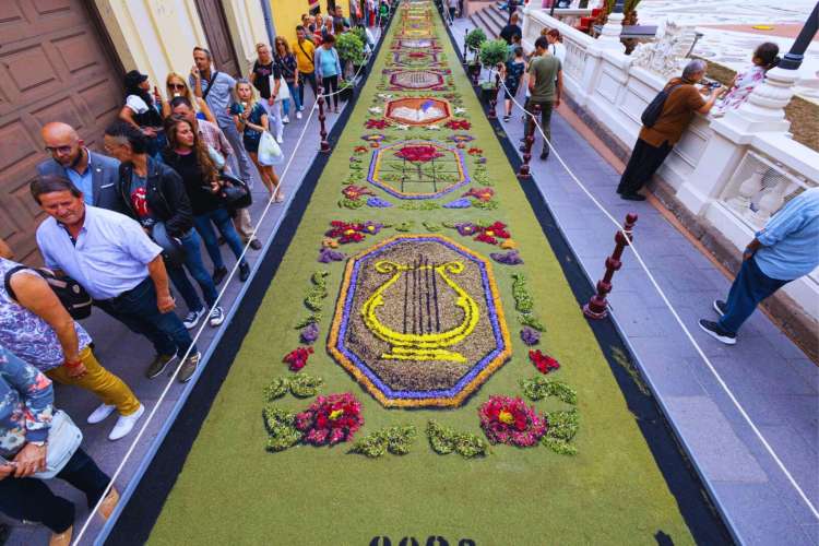 Panoramic-view-of-a-tapestry-in-La-Orotava