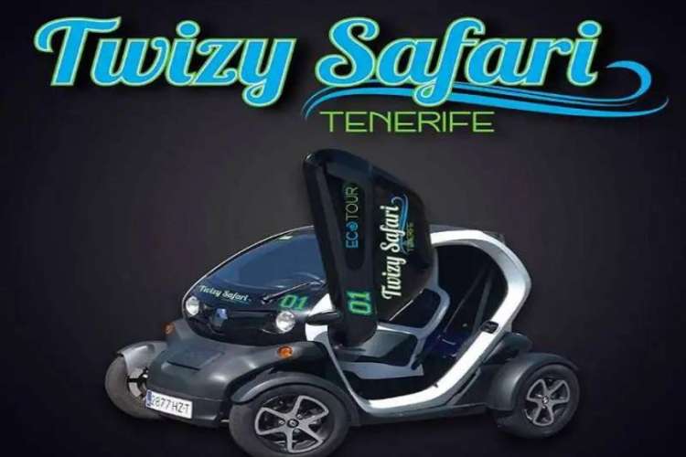 Twizy-100%-Elektroauto