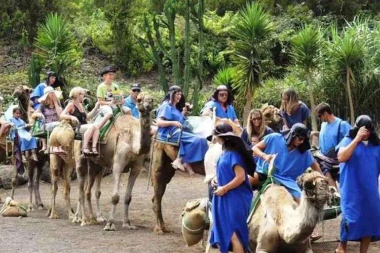 Beginning-of-the-camel-ride