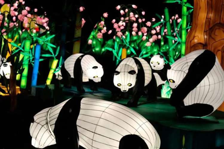 Gärten-mit-Pandas-im-Park-der-Lichter-auf-Teneriffa