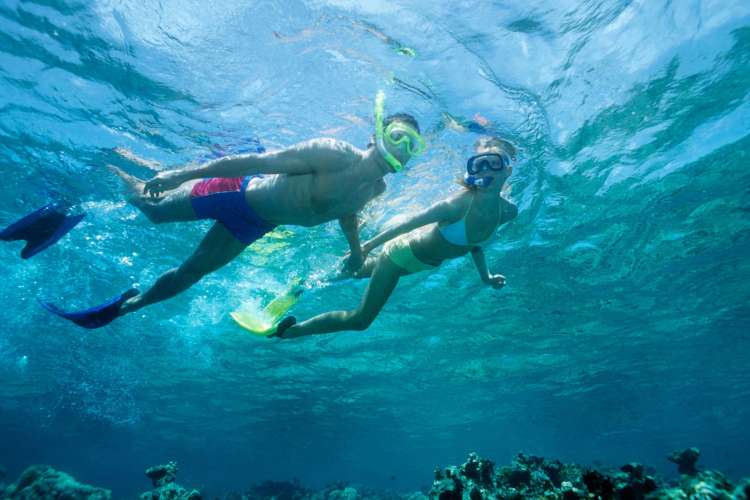Snorkeling-at-the-Malgrats-Islands