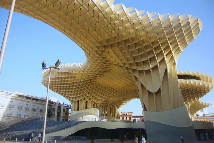 The-Mushrooms-of-Seville
