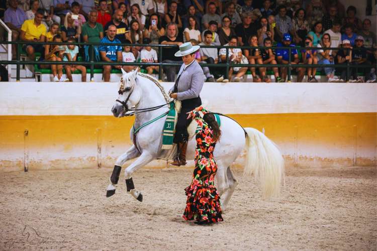 Espectáculo-flamenco-con-caballos