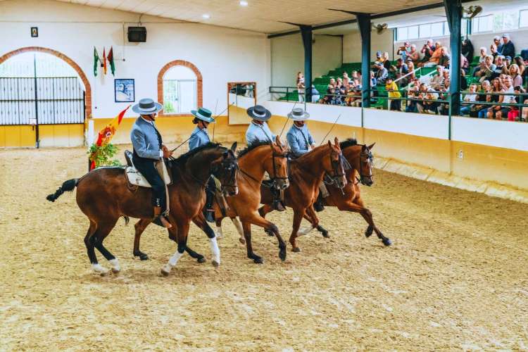 Horse-Dressage-Show