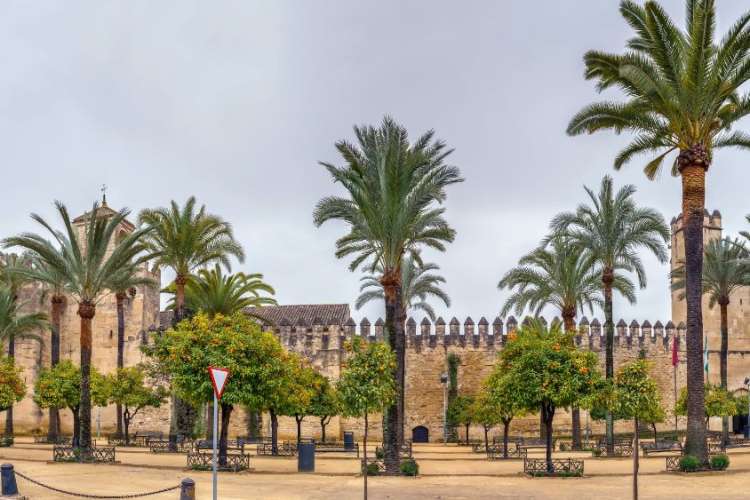 Patio-de-los-naranjos-en-el-Alcázar-de-Córdoba