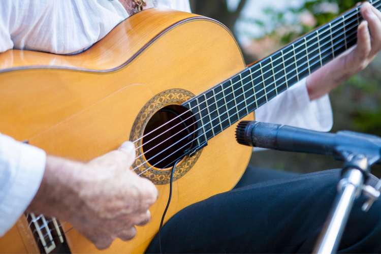 Flamenco-Gitarren-Detail
