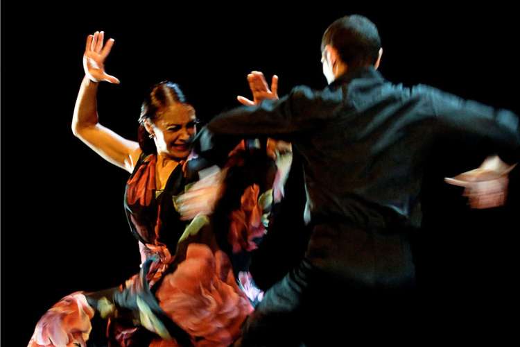 Flamenco-show-in-Córdoba