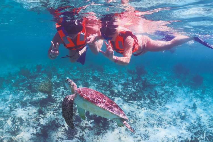 Pareja-nadando-con-tortugas-en-Cancun