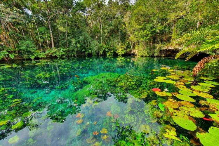 Swim-in-a-Mayan-cenote