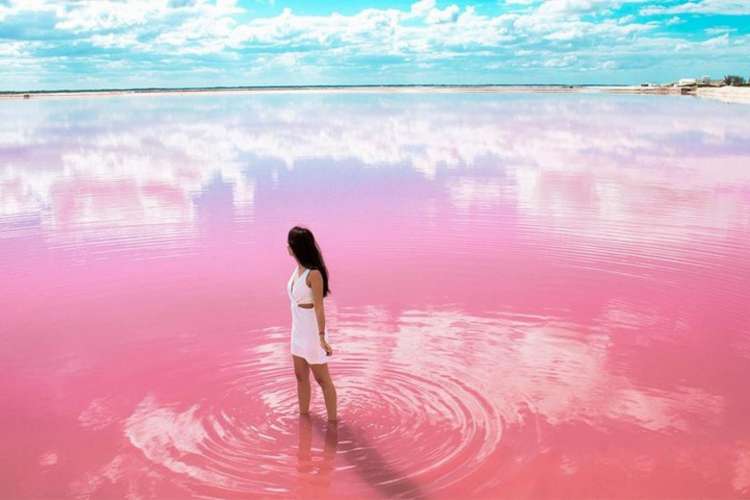 Pink-Lake-Las-Coloradas