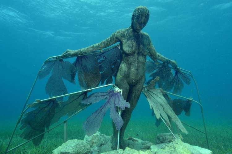 Mysterious-statue-at-MUSA-reef