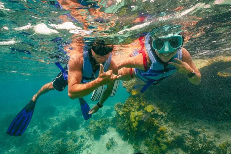 Snorkeling-at-the-Cancun-underwater-museum
