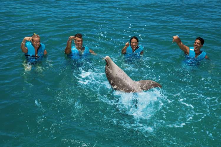 Interacción-con-delfines-en-Cancún