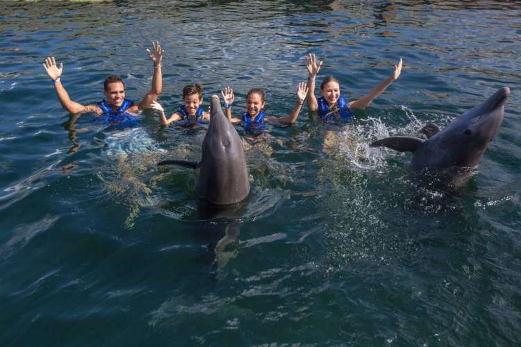 Playing-with-dolphins-in-Cancun