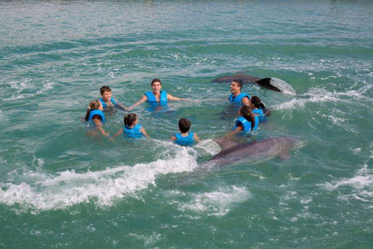 Grupo-divirtiéndose-con-delfines-en-Cancún