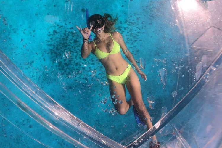 Snorkeling-under-a-glass-bottom-boat-in-Cozumel