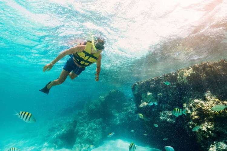 Snorkel-en-Cancún