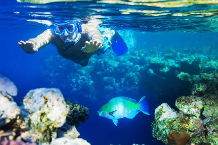 Snorkel-en-arrecife-de-coral-el-Riviera-Maya