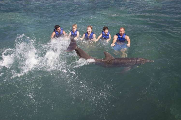 Grupo-jugando-con-delfines-en-Cancún