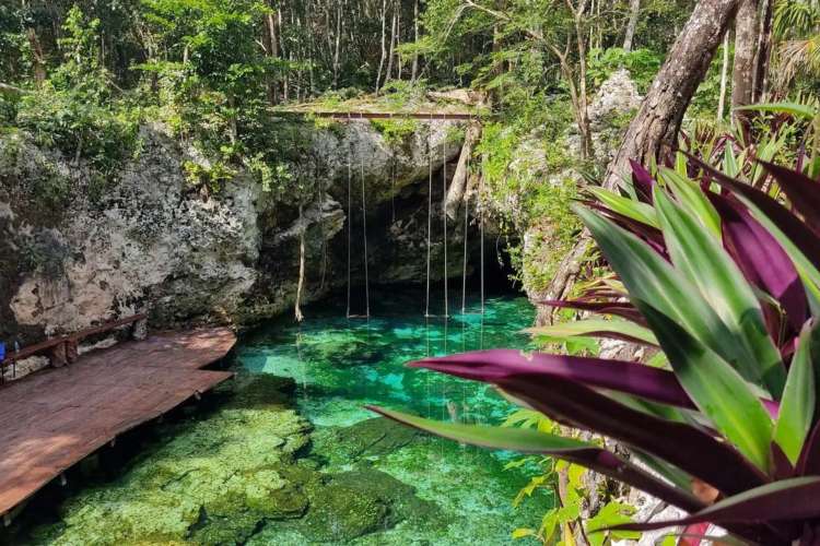 Crystal-clear-Cenote