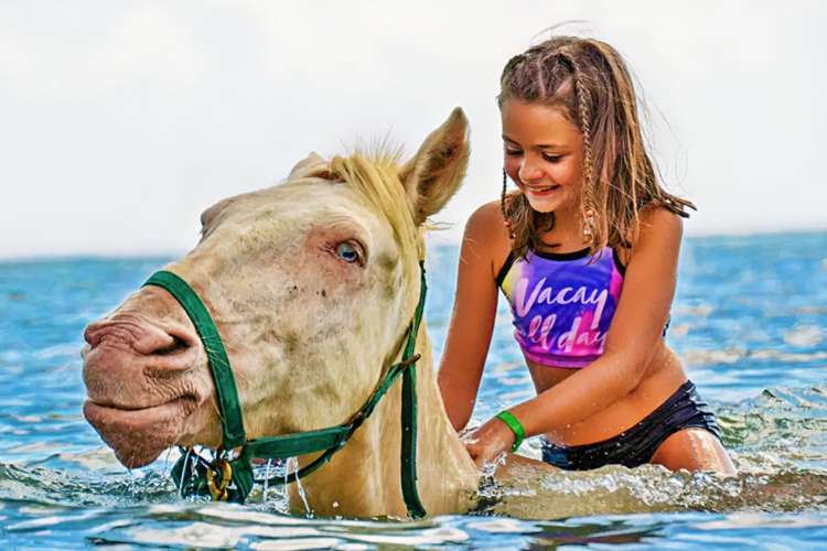 Swimming-with-horses-in-Punta-Cana