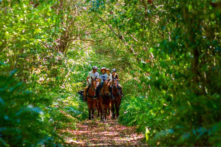 Horseback-Riding-Group-in-Punta-Cana