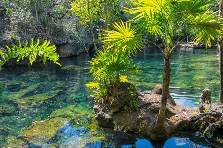 Cenote-with-crystal-clear-waters-in-the-Riviera-Maya